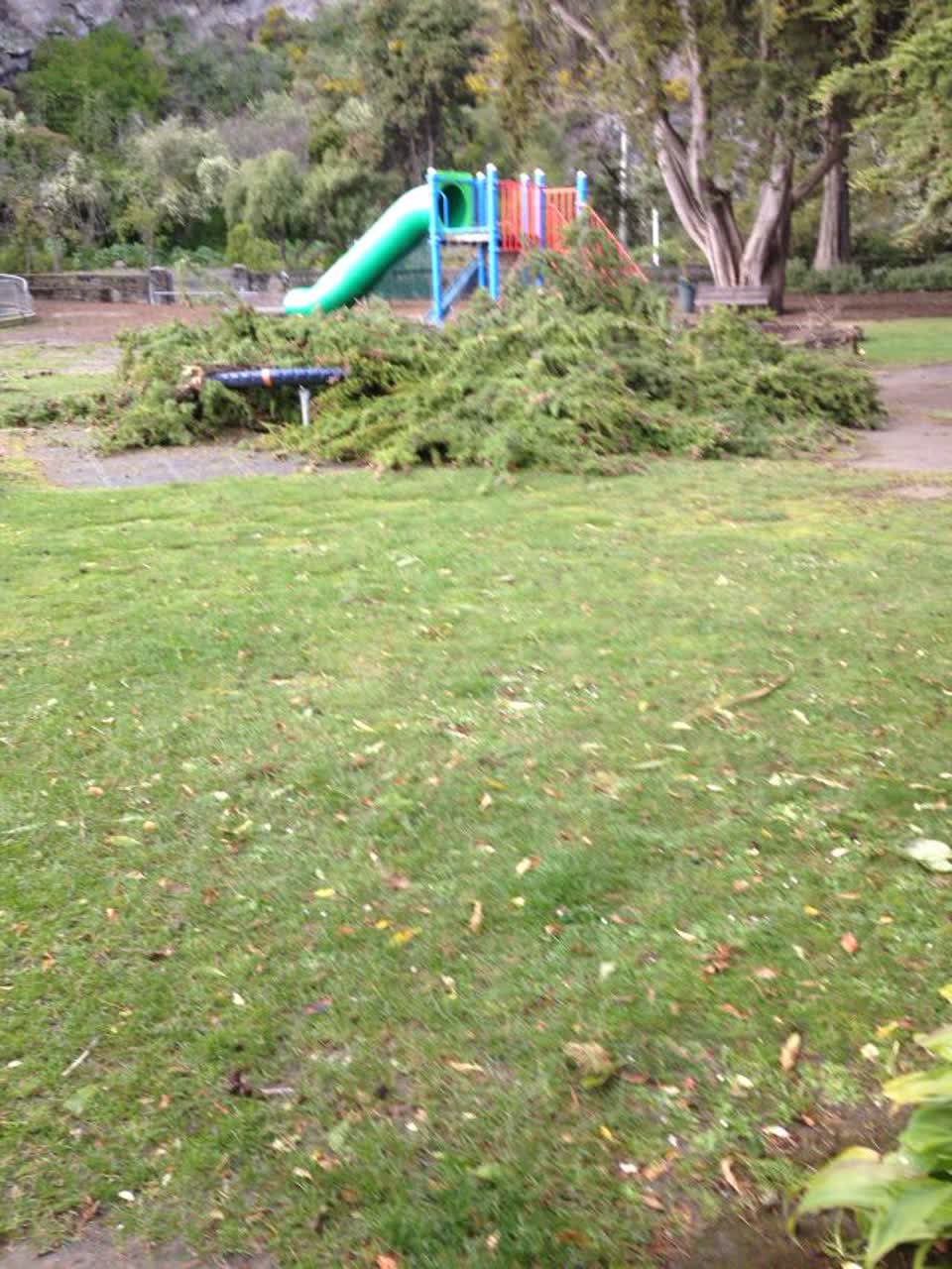 The photograph attached to this parks report