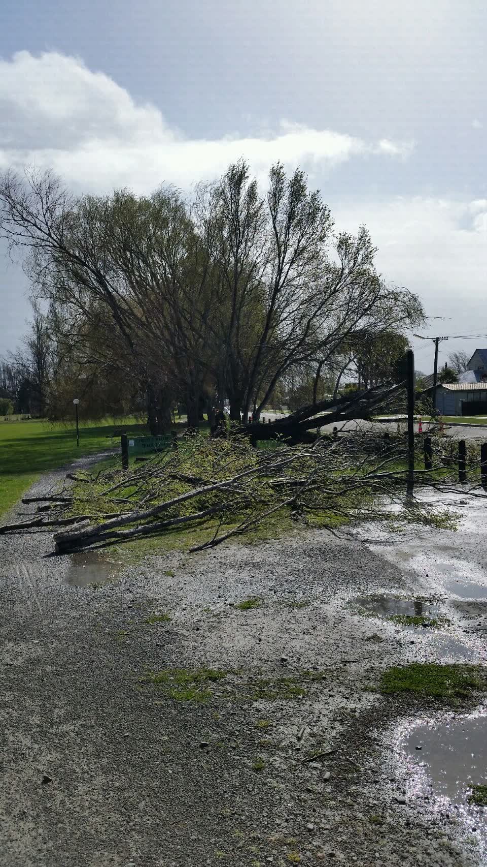 The photograph attached to this parks report