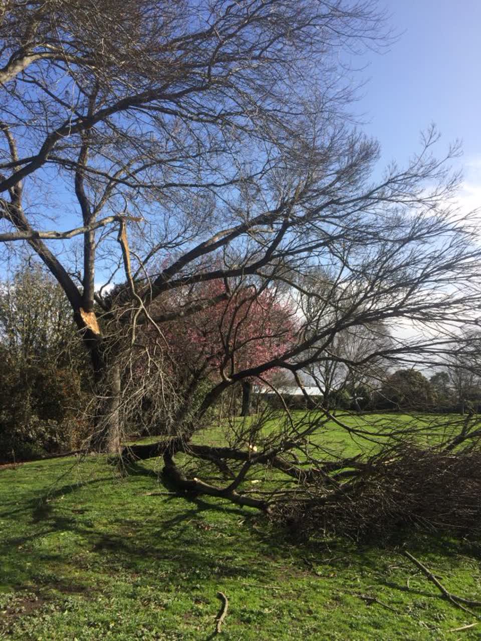 The photograph attached to this parks report