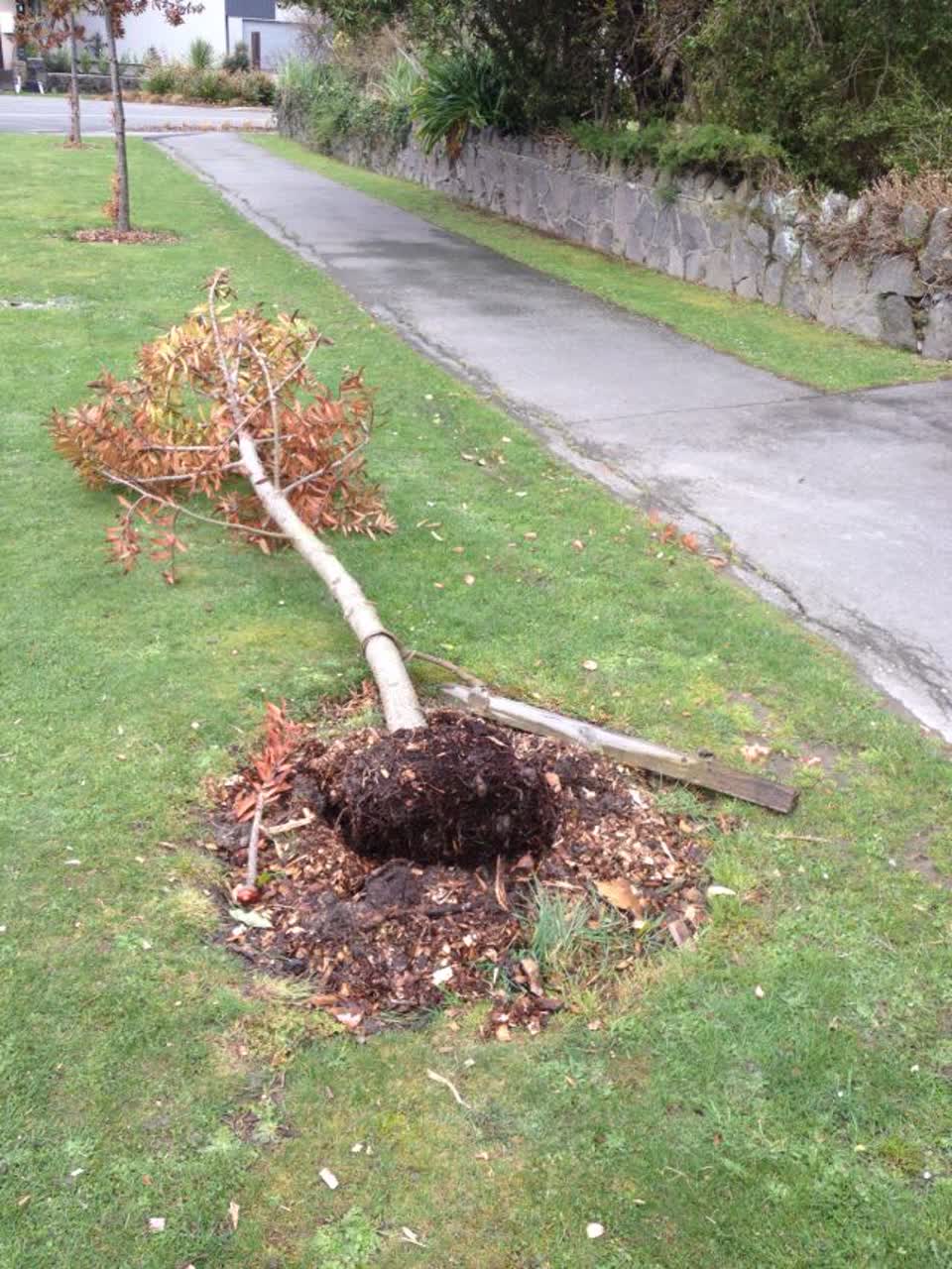 The photograph attached to this roading/streets report