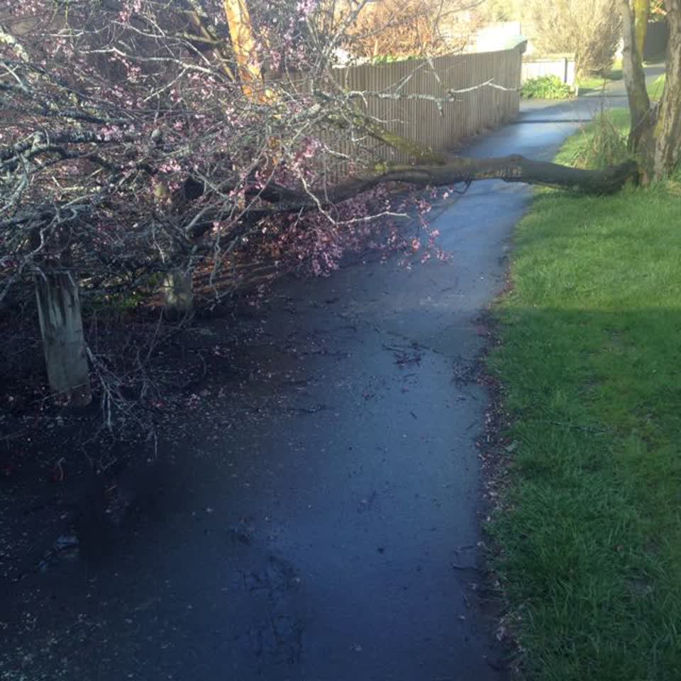 The photograph attached to this parks report