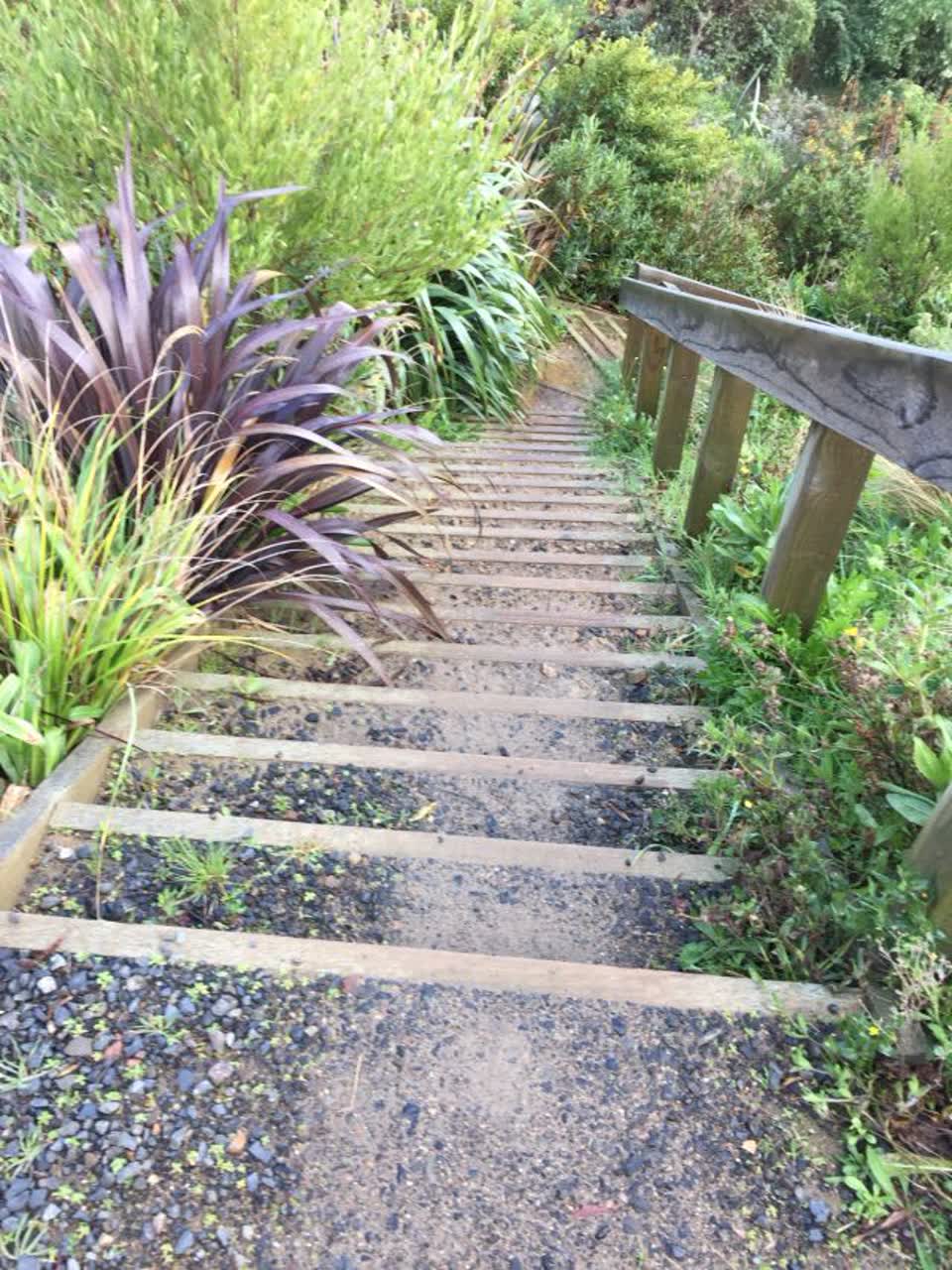 The photograph attached to this parks report