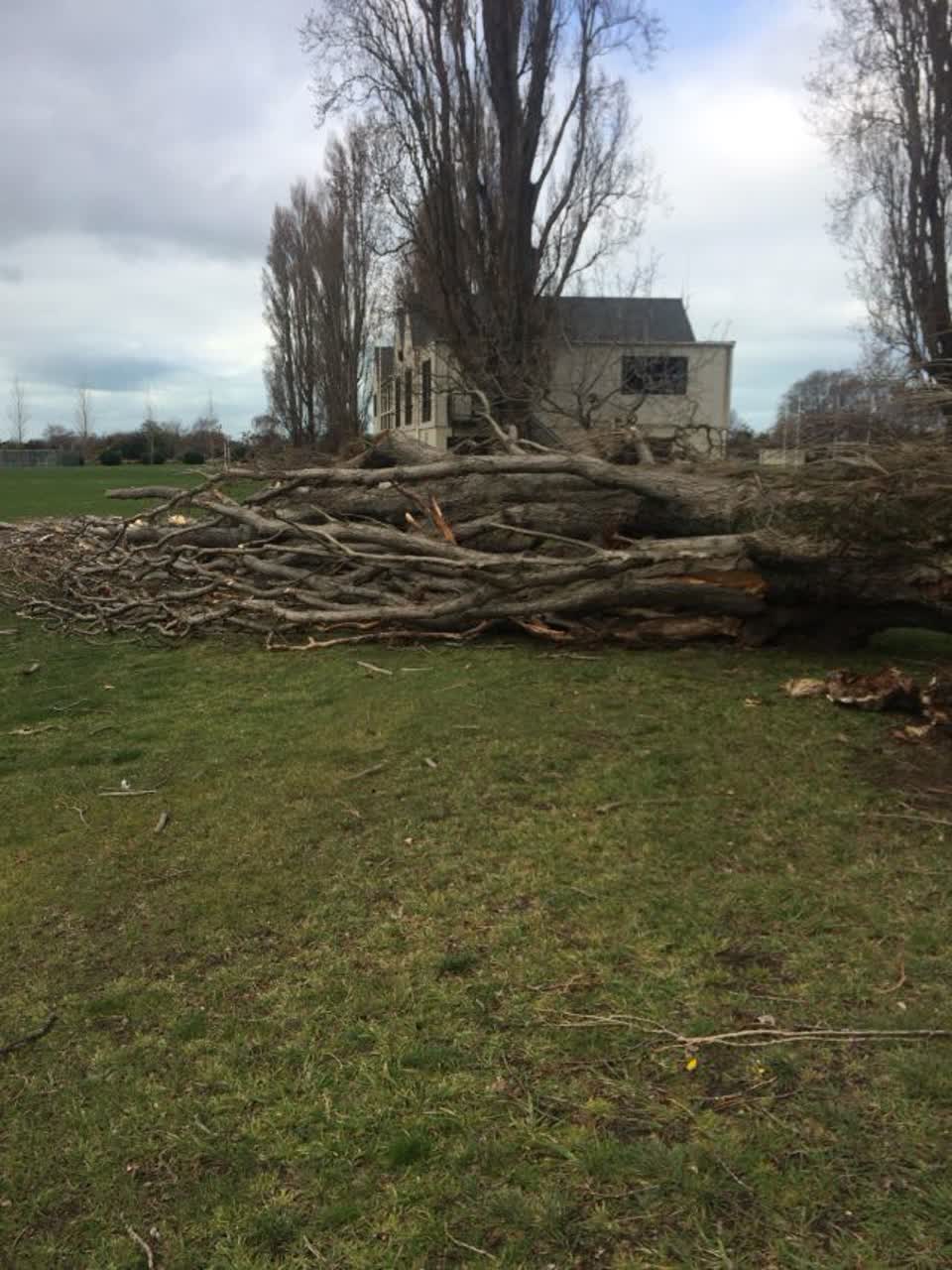 The photograph attached to this parks report