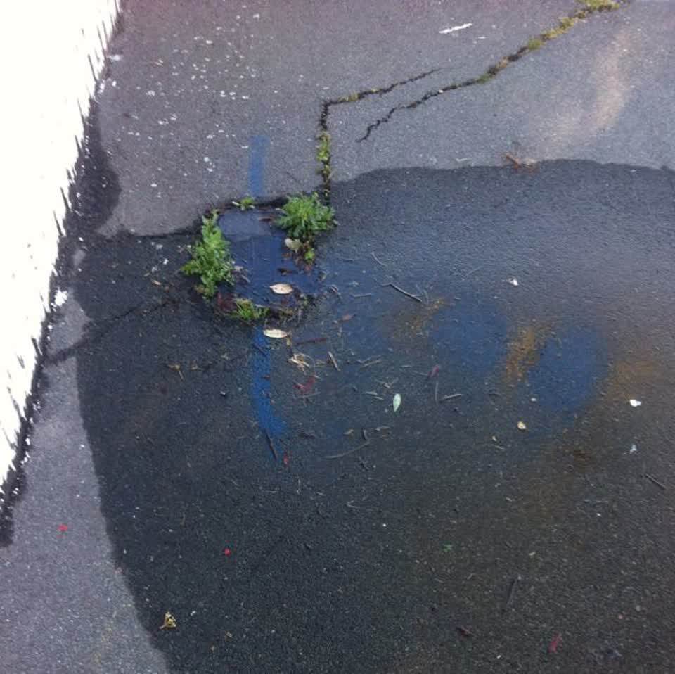 The photograph attached to this water supply report