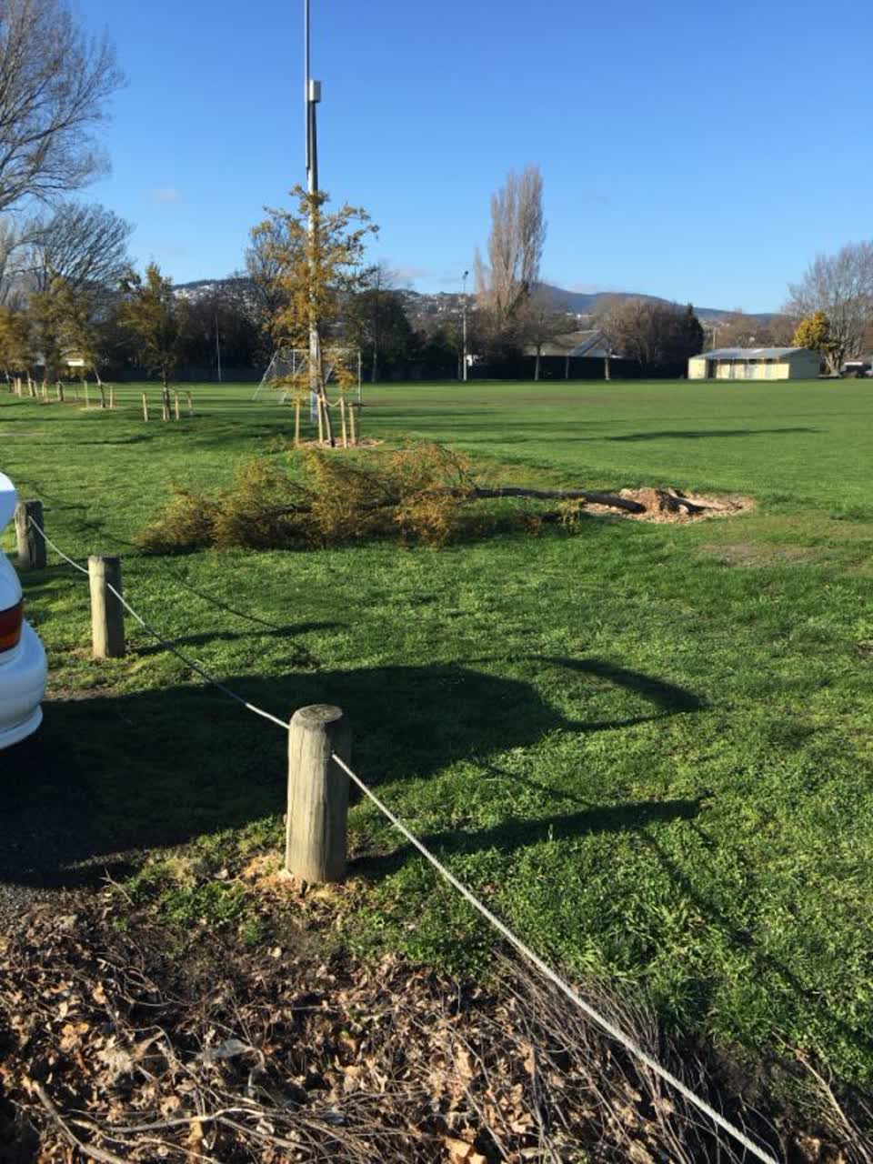 The photograph attached to this parks report