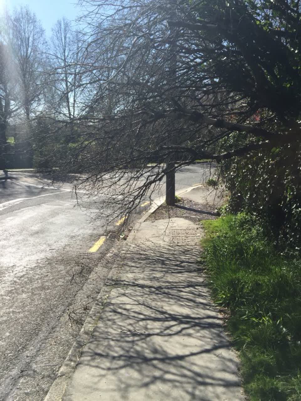 The photograph attached to this roading/streets report