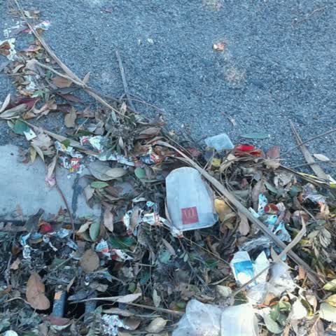 Wastewater/Stormwater, a report photo