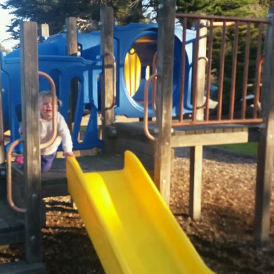 The photograph attached to this parks report