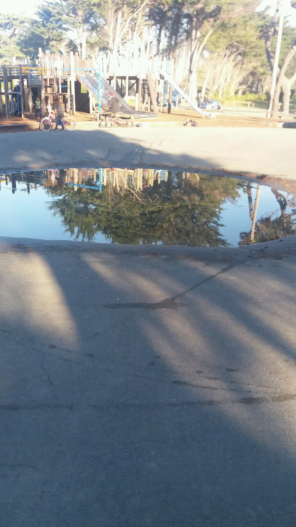 The photograph attached to this parks report