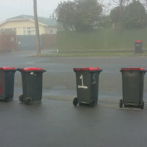 Rubbish/Recycling, a report photo