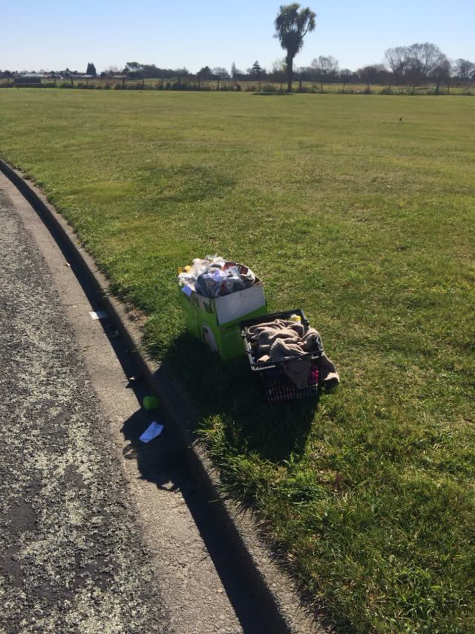 The photograph attached to this parks report