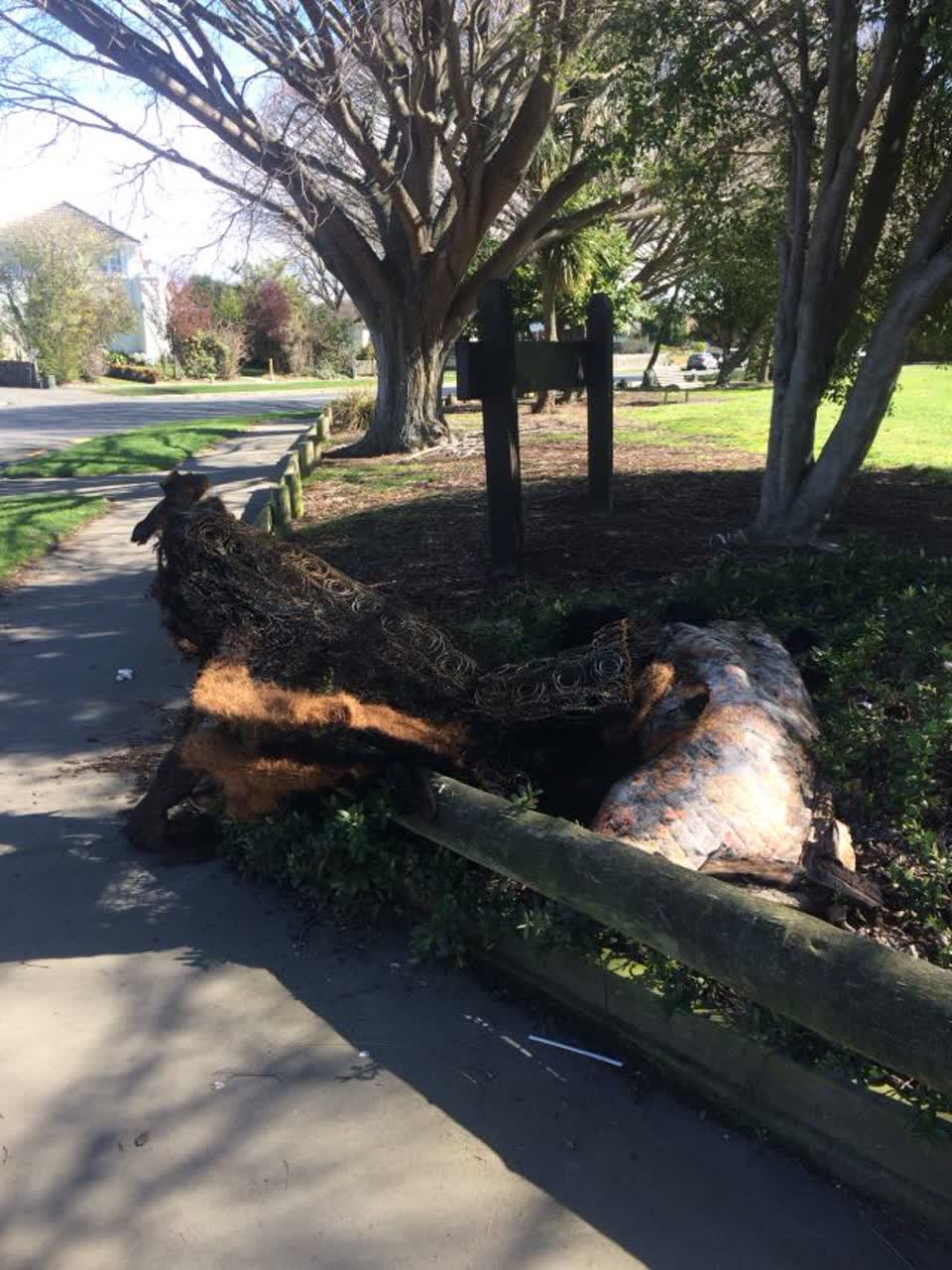 The photograph attached to this parks report
