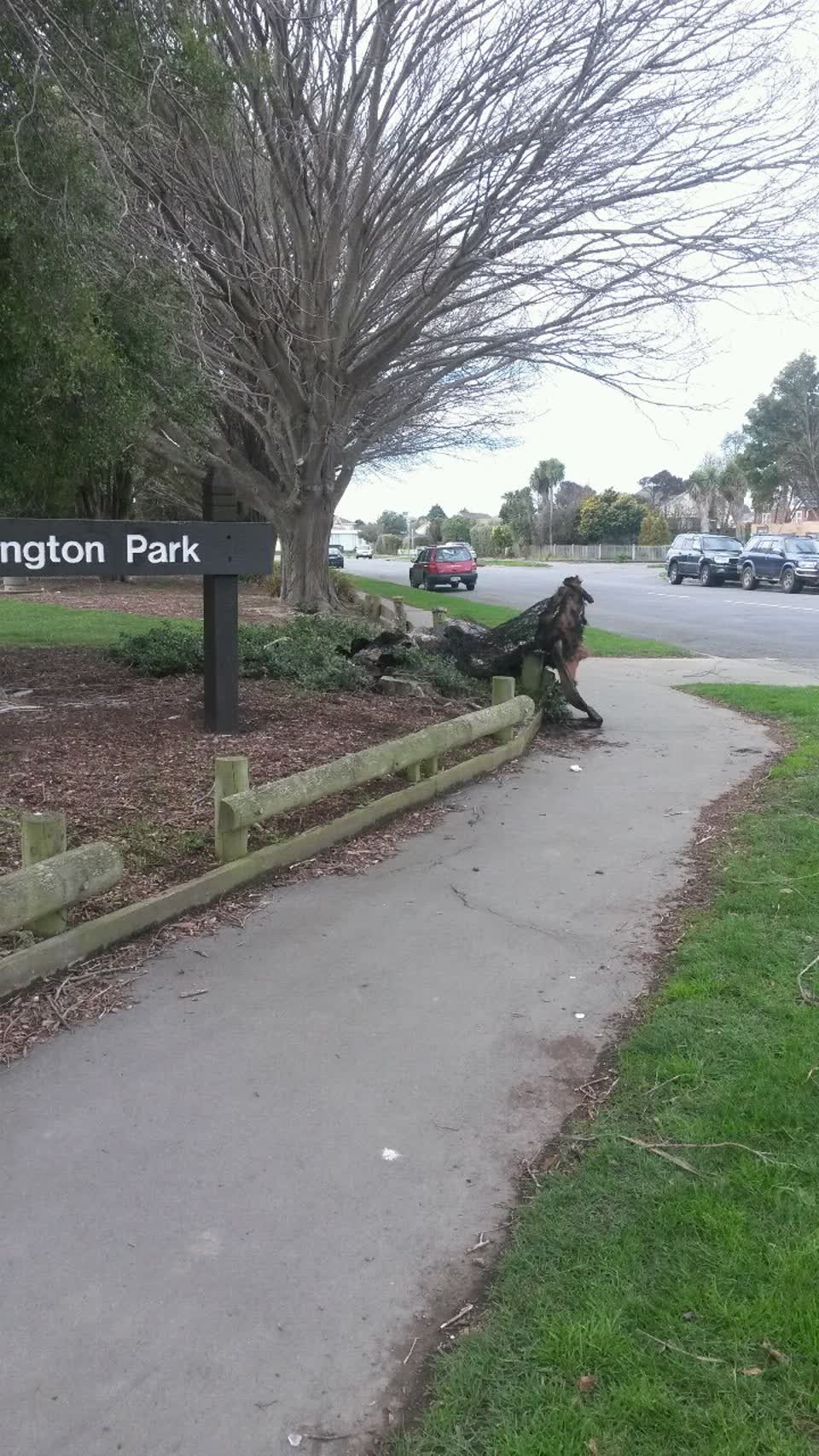 The photograph attached to this parks report