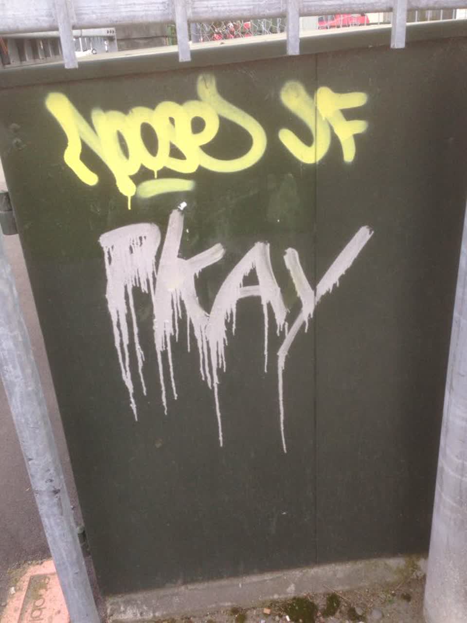 The photograph attached to this graffiti report