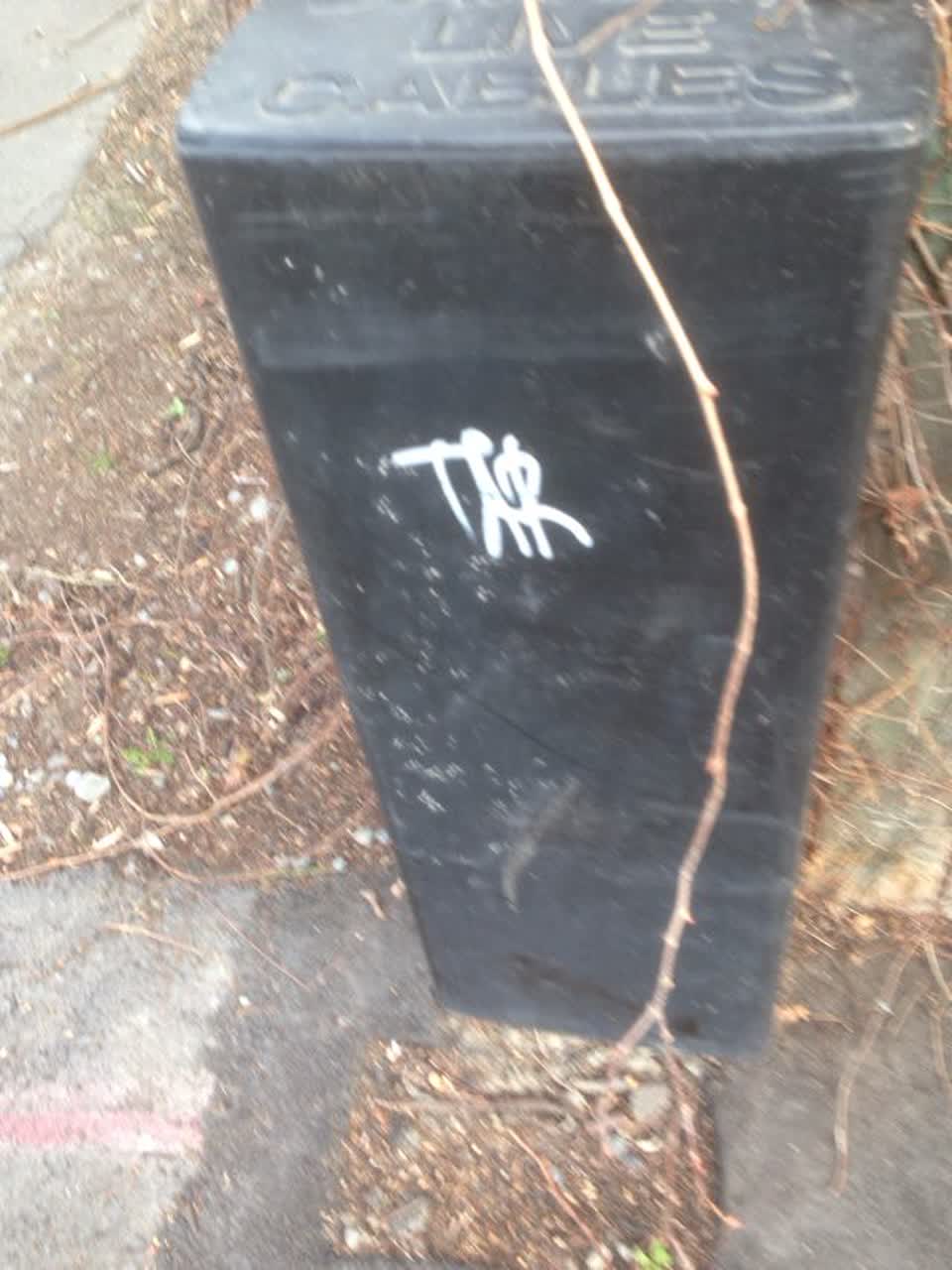 The photograph attached to this graffiti report
