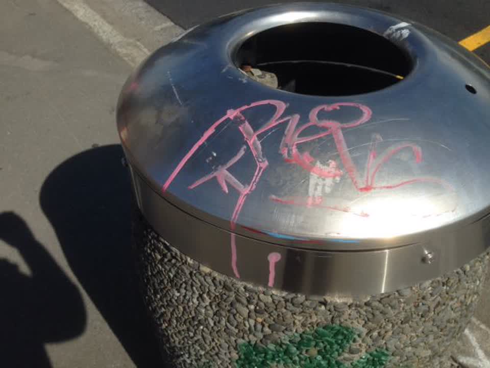 The photograph attached to this graffiti report
