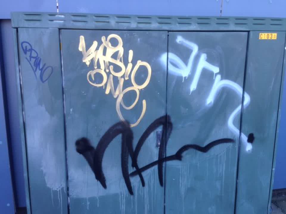 The photograph attached to this graffiti report