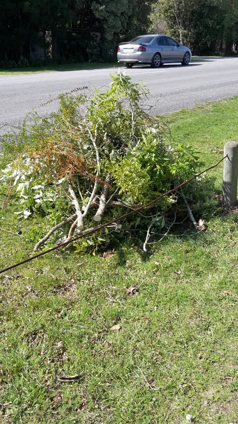 Parks, a report photo