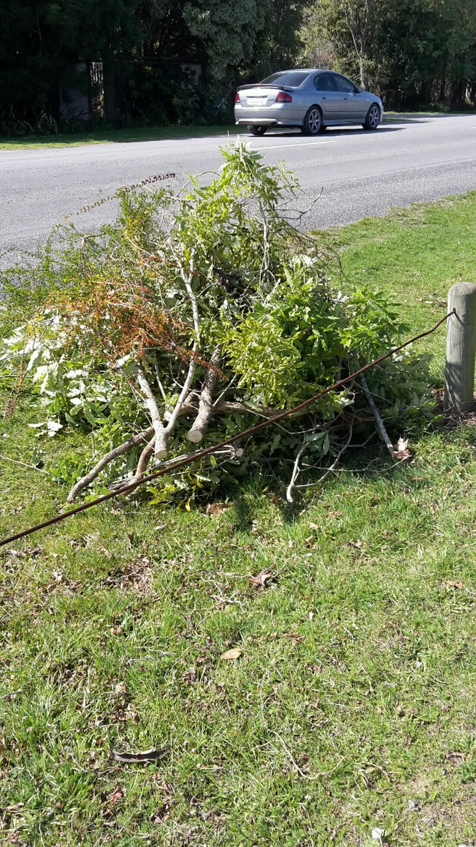 The photograph attached to this parks report