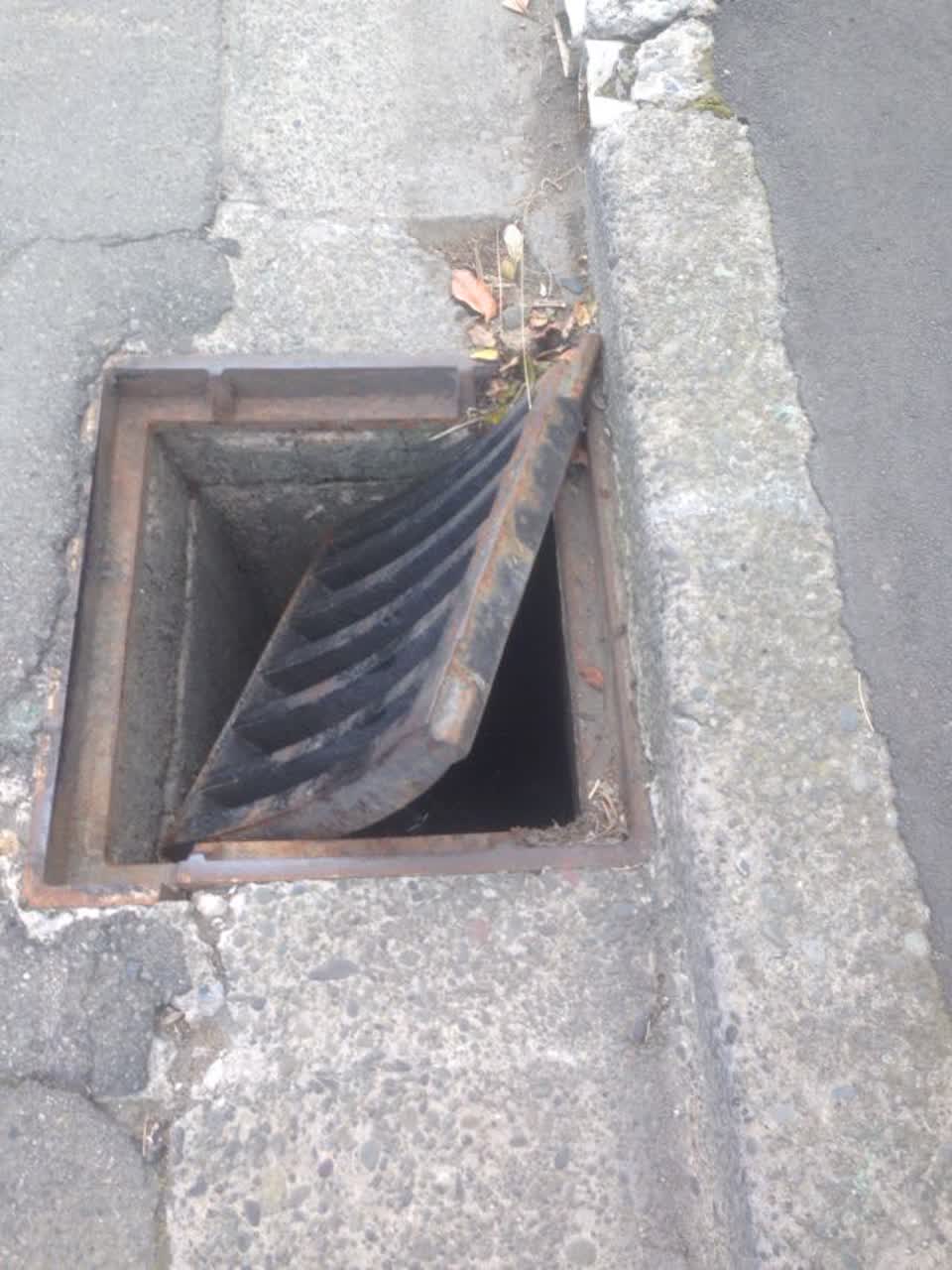 The photograph attached to this roading/streets report