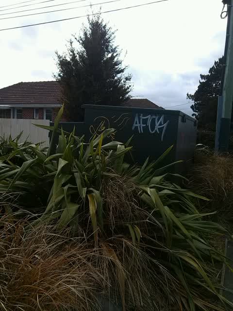 Graffiti, a report photo