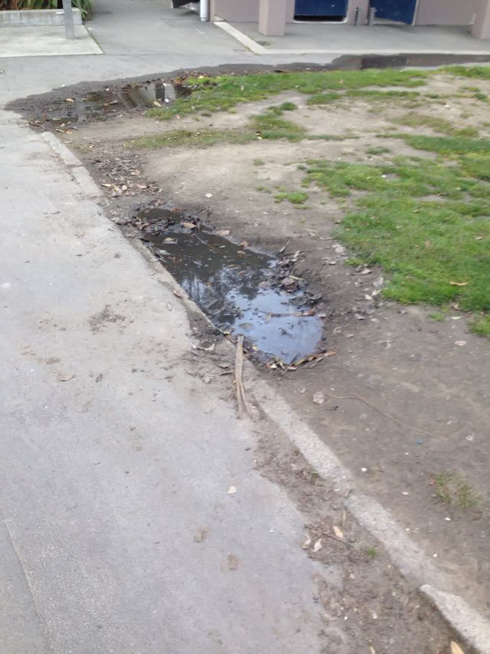 The photograph attached to this parks report