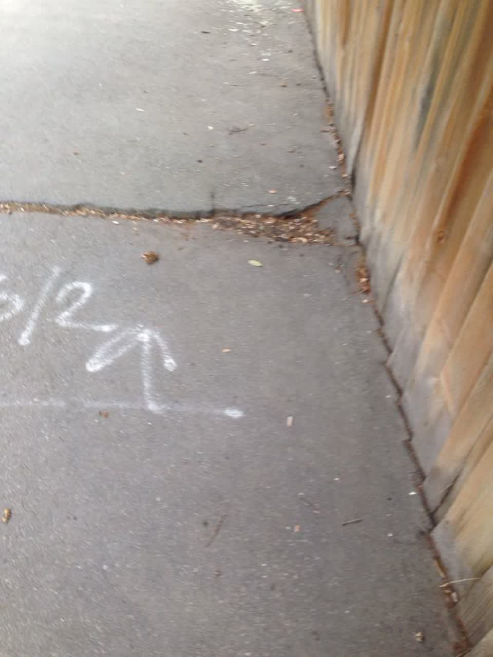 The photograph attached to this roading/streets report