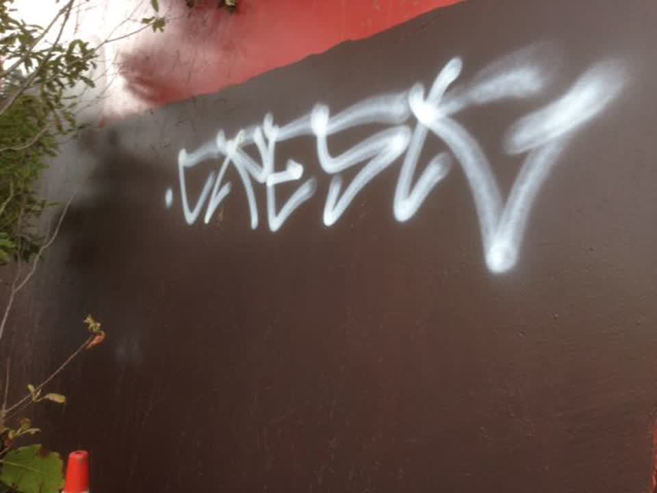The photograph attached to this graffiti report