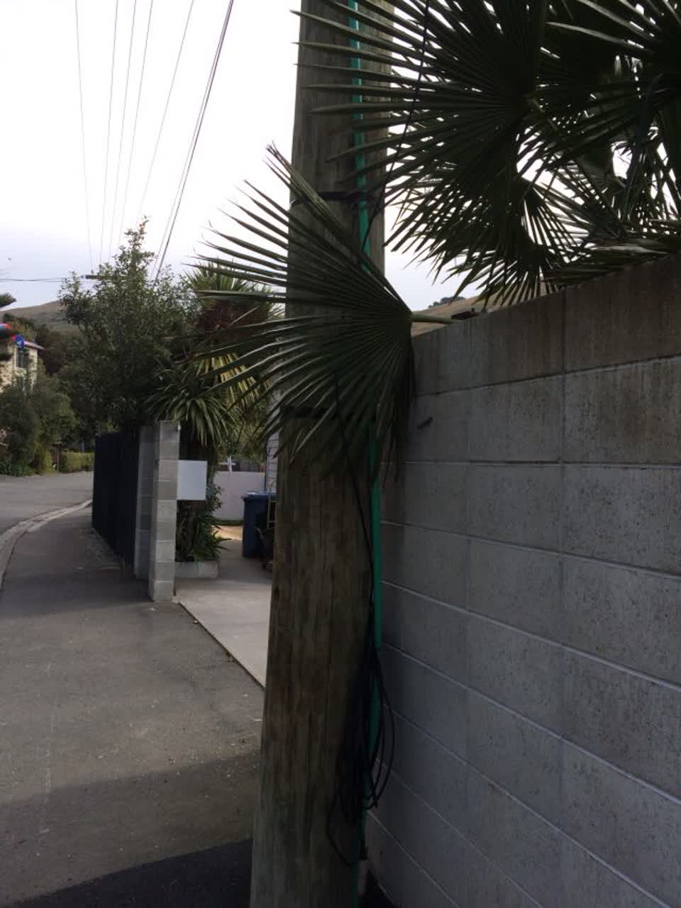 The photograph attached to this roading/streets report