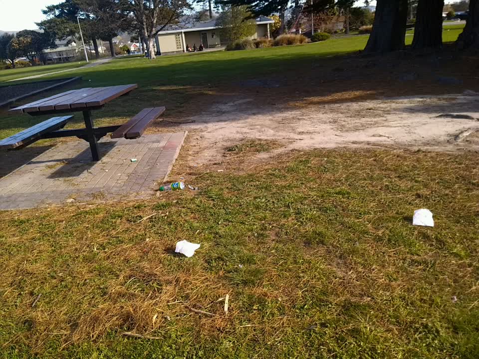 The photograph attached to this rubbish/recycling report