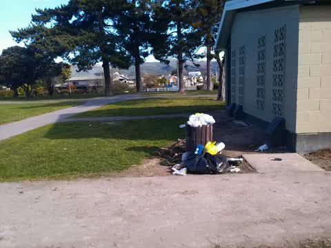 Rubbish/Recycling, a report photo