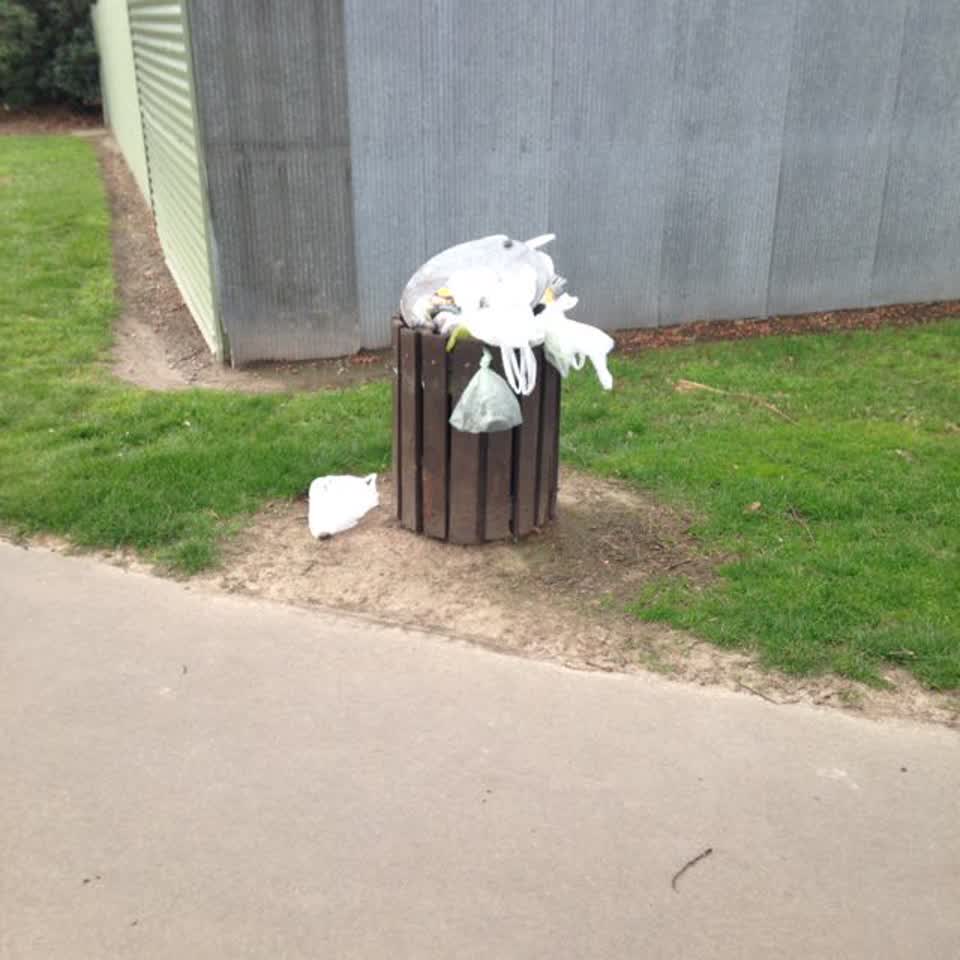 The photograph attached to this rubbish/recycling report