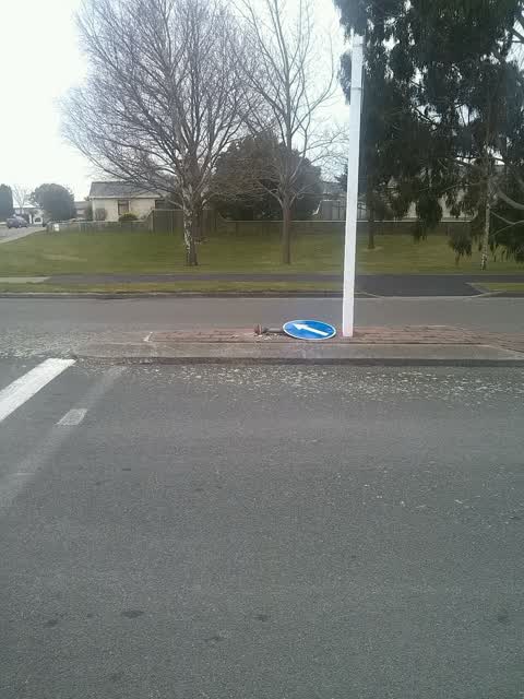 Roading/Streets, a report photo