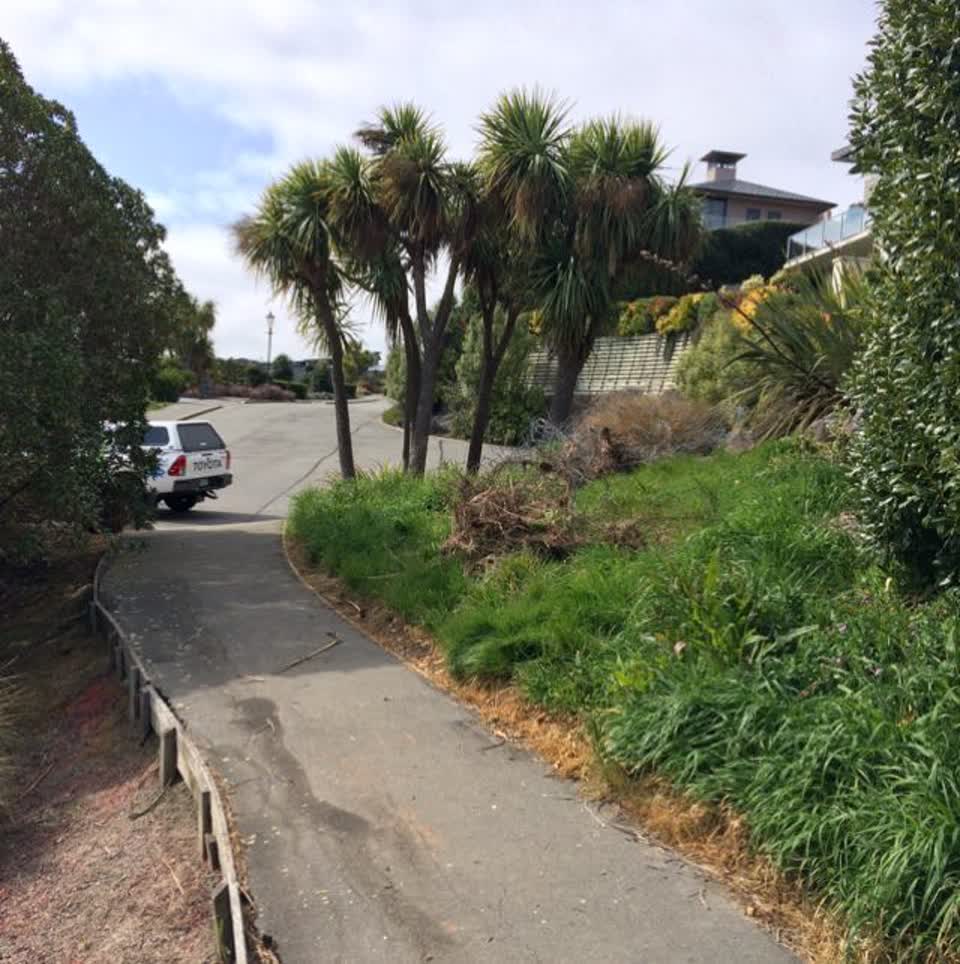 The photograph attached to this parks report