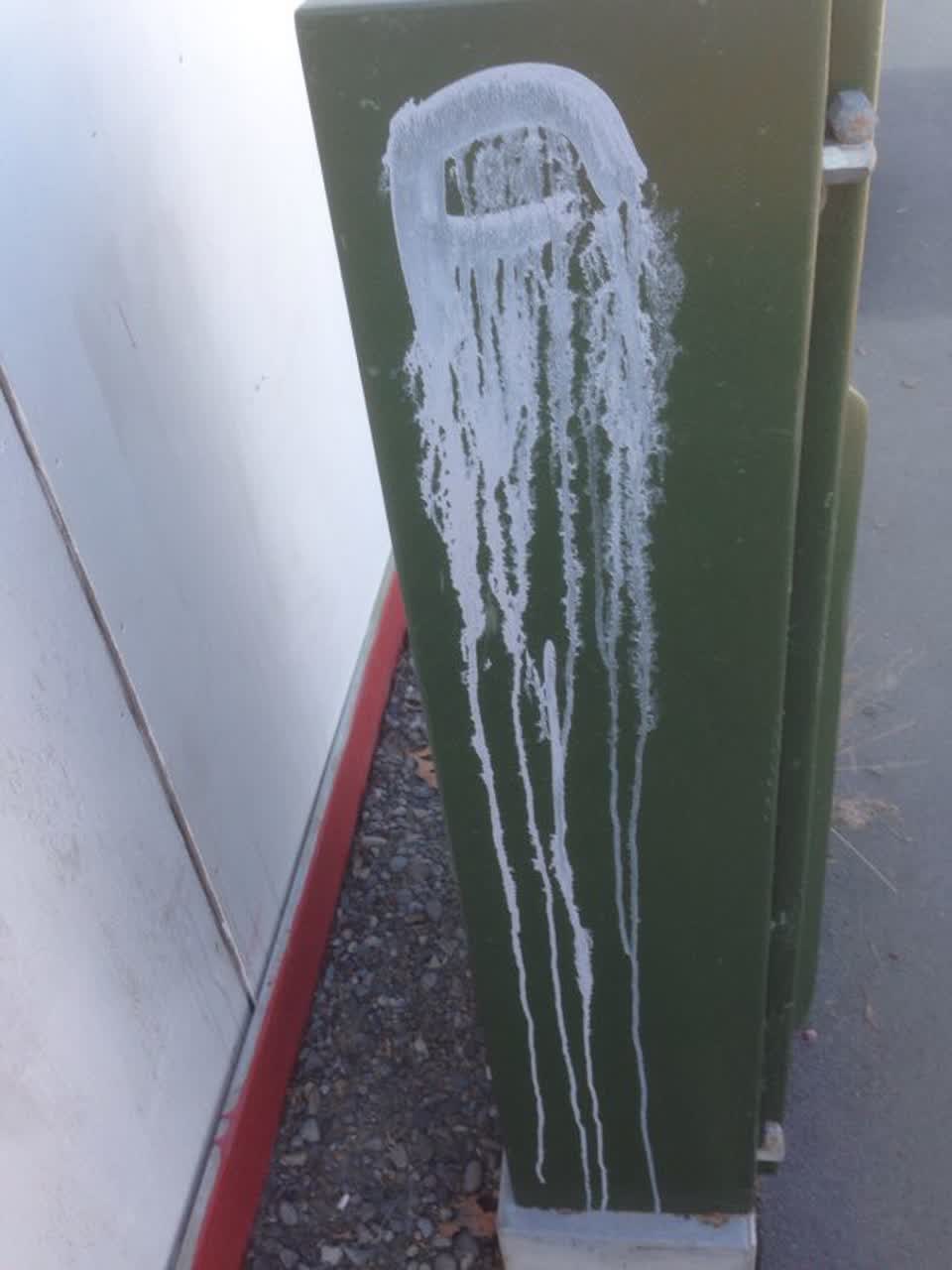 The photograph attached to this graffiti report