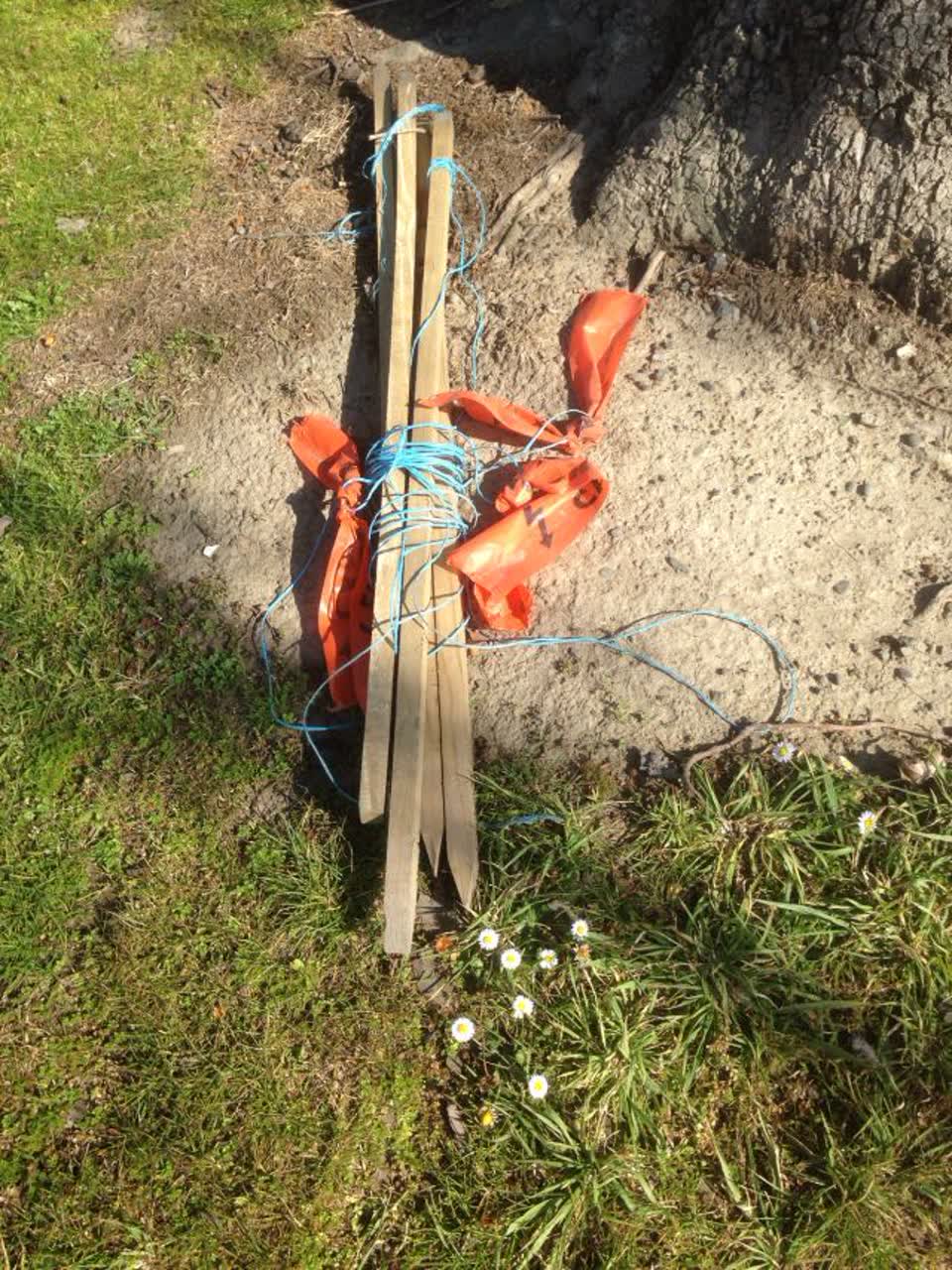 The photograph attached to this parks report