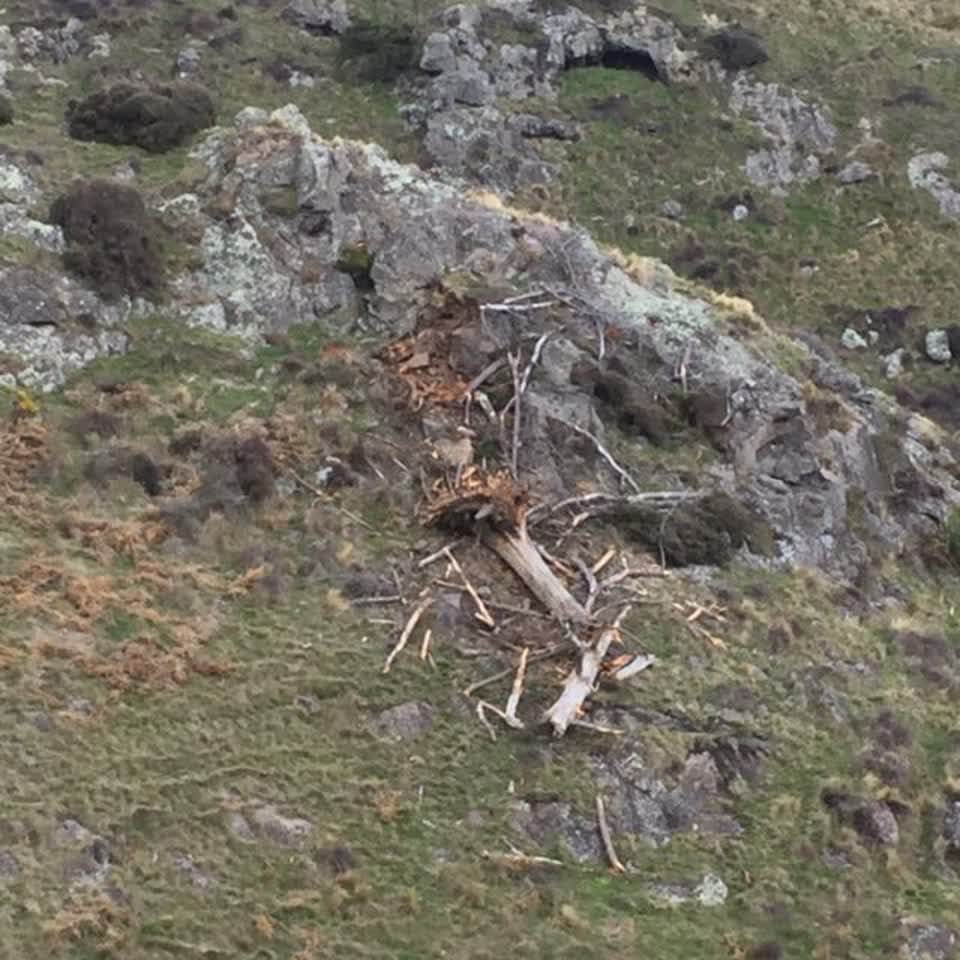 The photograph attached to this parks report