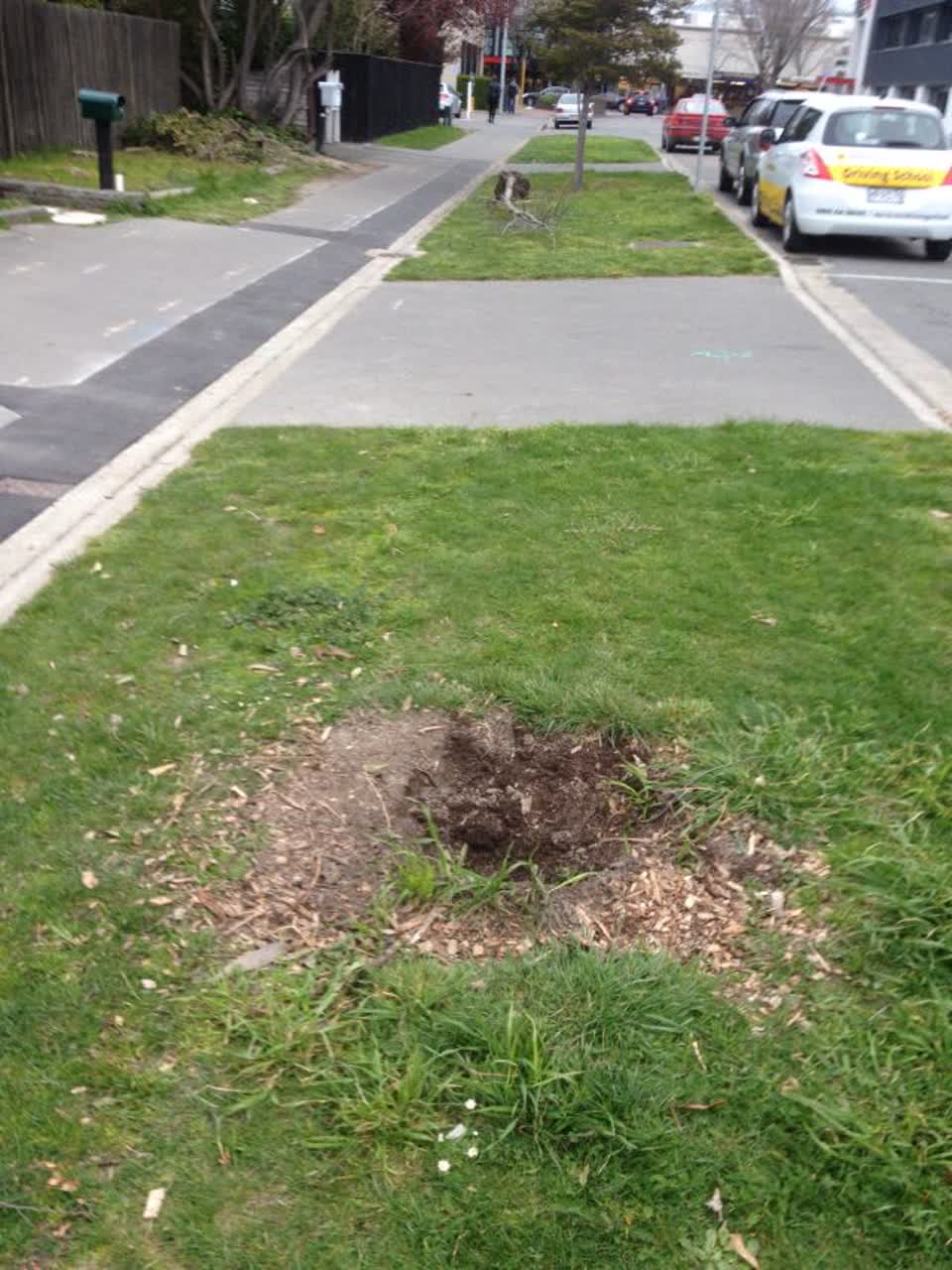 The photograph attached to this roading/streets report