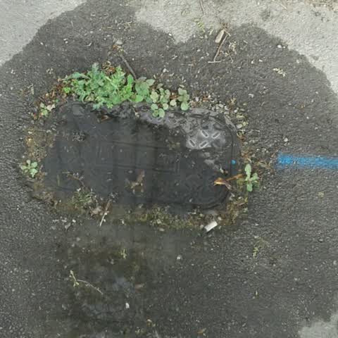 Water Supply, a report photo