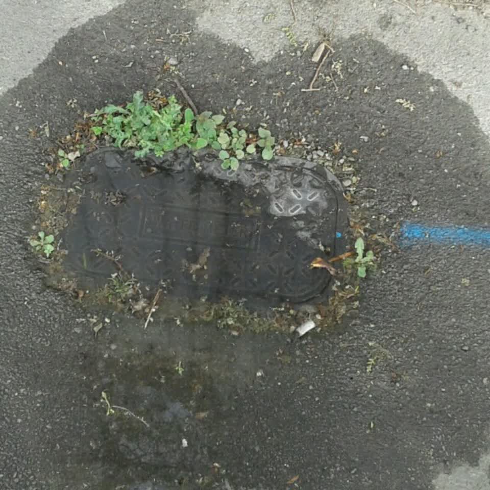 The photograph attached to this water supply report