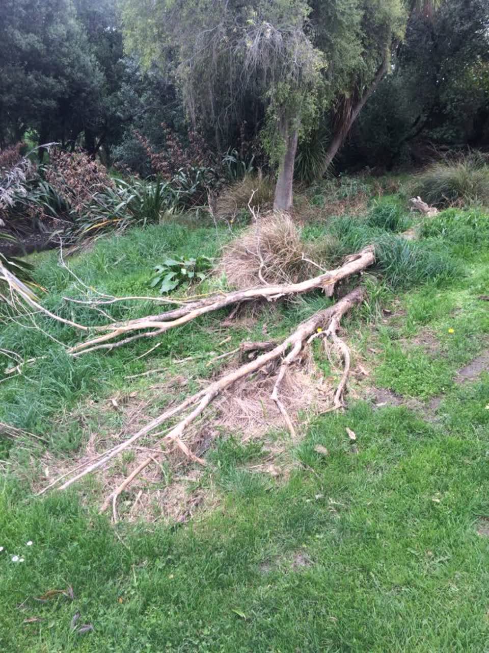 The photograph attached to this parks report