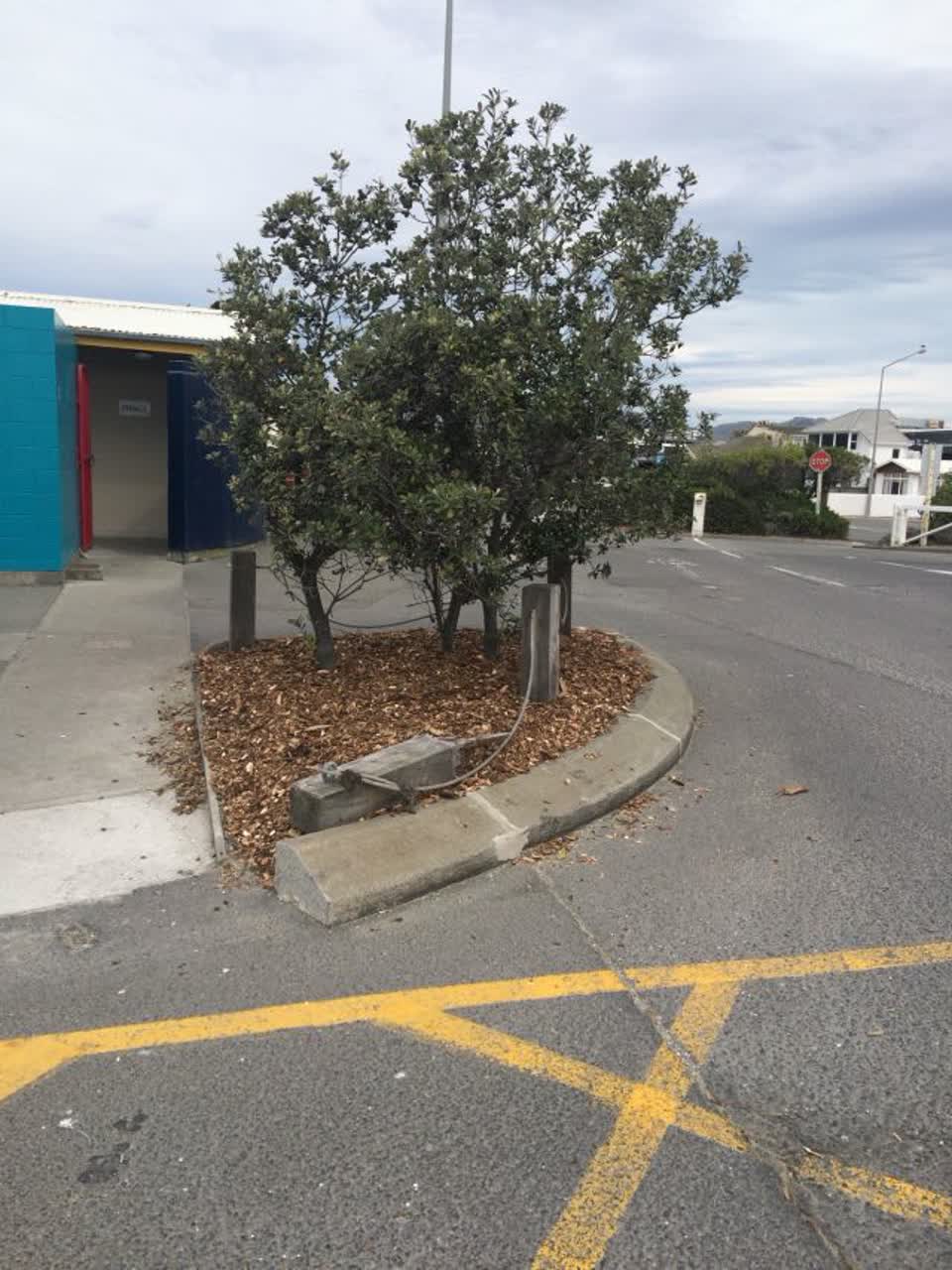The photograph attached to this parks report