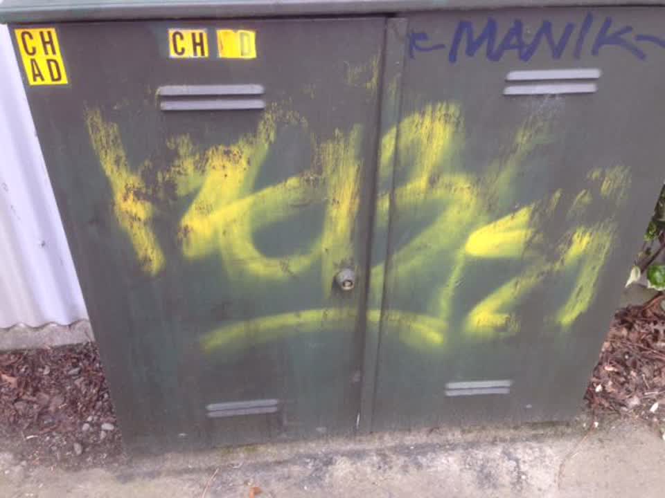 The photograph attached to this graffiti report