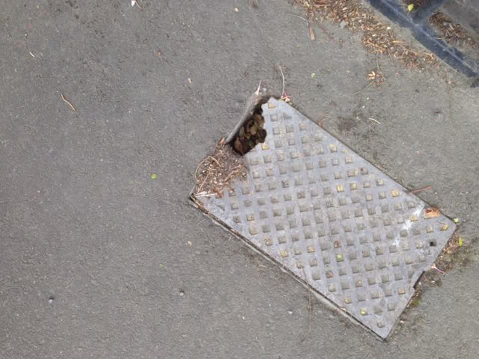 The photograph attached to this roading/streets report