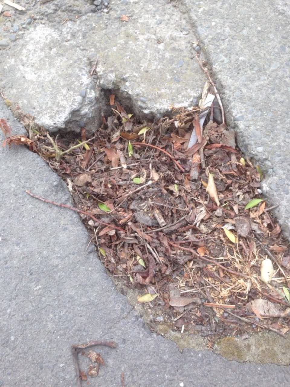 The photograph attached to this roading/streets report