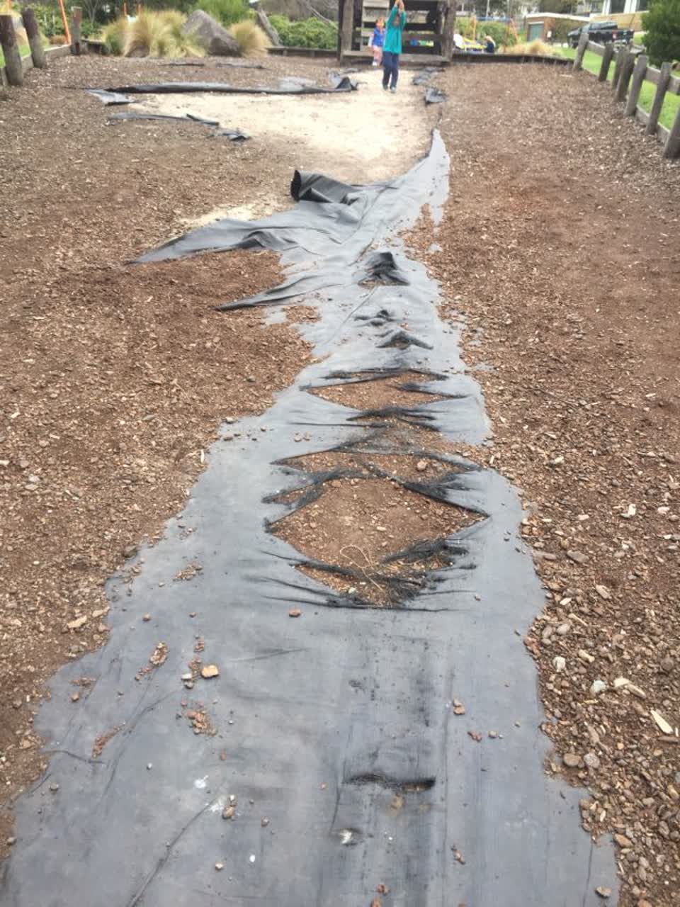 The photograph attached to this parks report