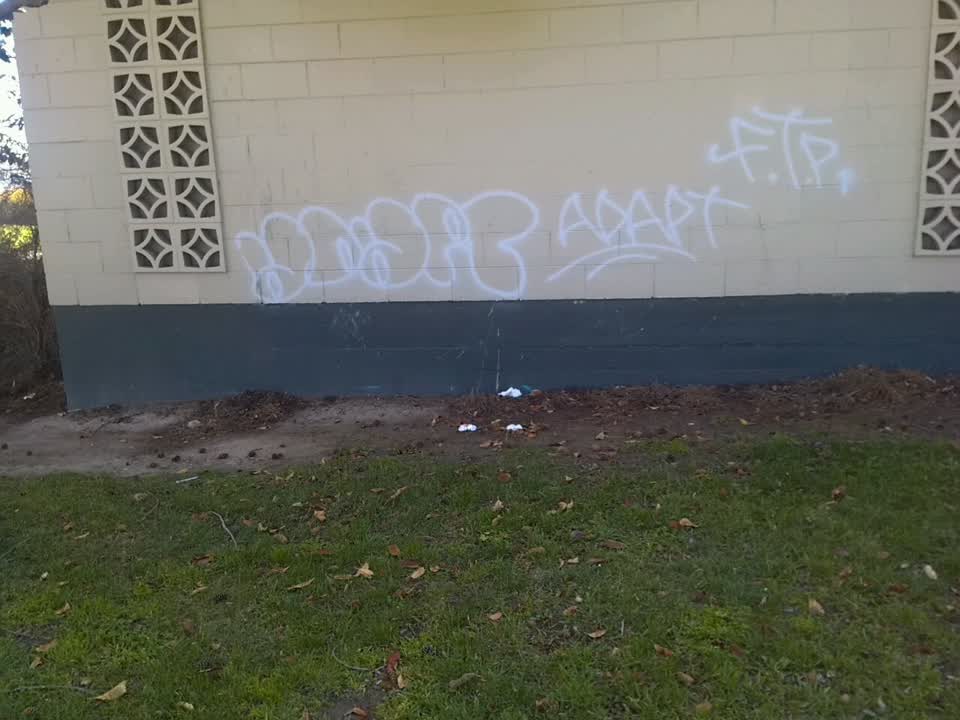 The photograph attached to this graffiti report