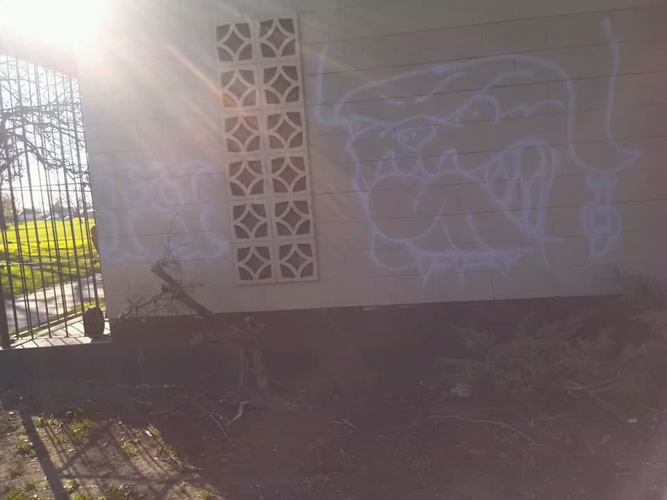 The photograph attached to this graffiti report