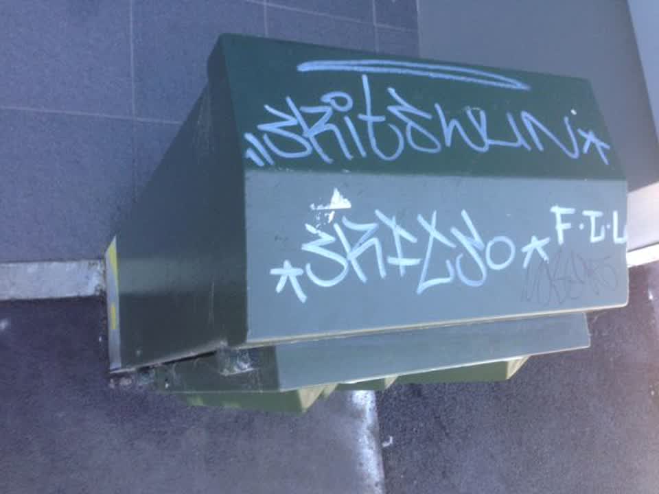 The photograph attached to this graffiti report