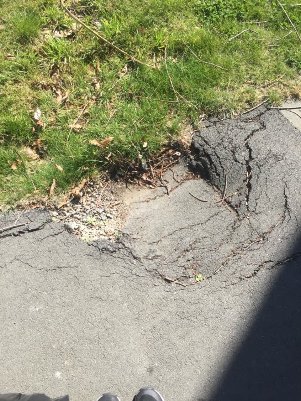 The photograph attached to this roading/streets report